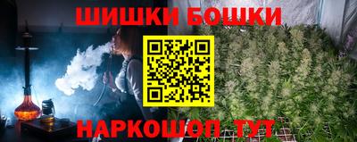 ешки Новозыбков