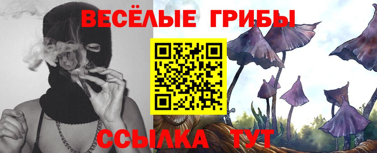 Галлюциногенные грибы MAGIC MUSHROOMS  Вход с VPN  Ступино 